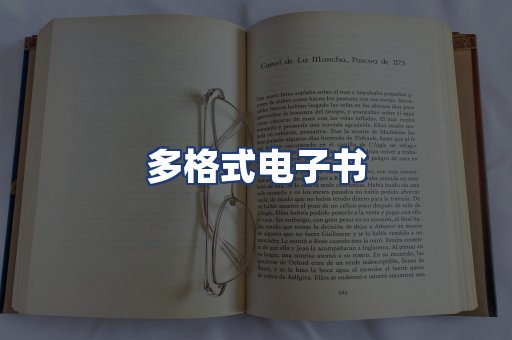 多格式电子书